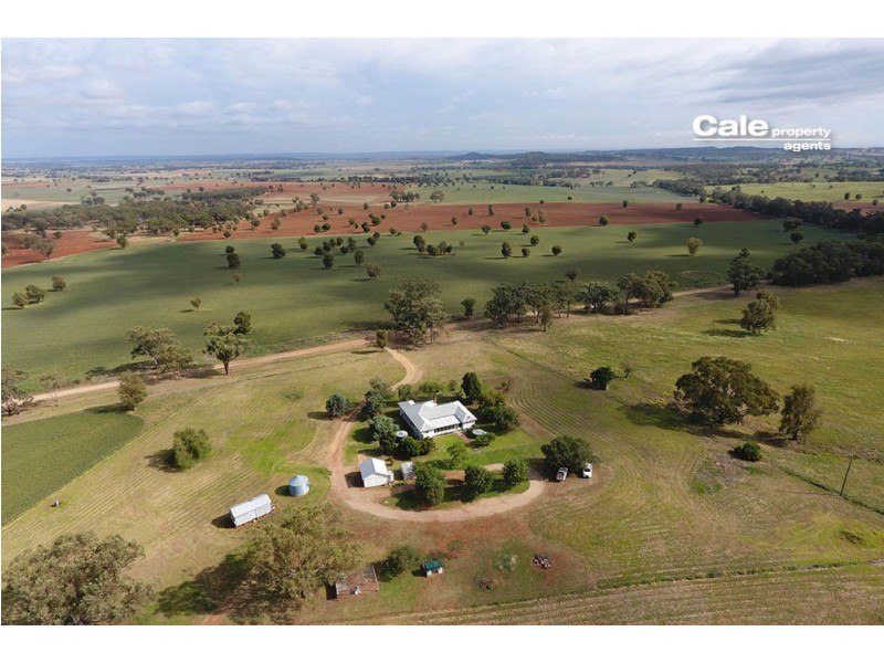 165 Laheys Creek Road, Dunedoo NSW 2844