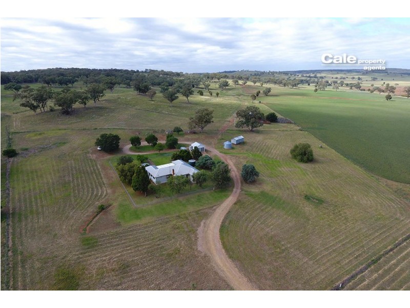 165 Laheys Creek Road, Dunedoo NSW 2844