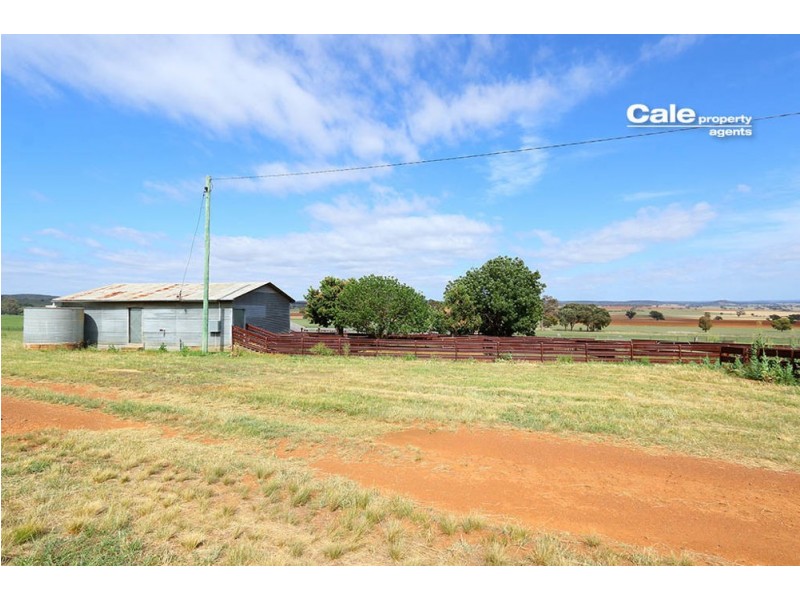 165 Laheys Creek Road, Dunedoo NSW 2844