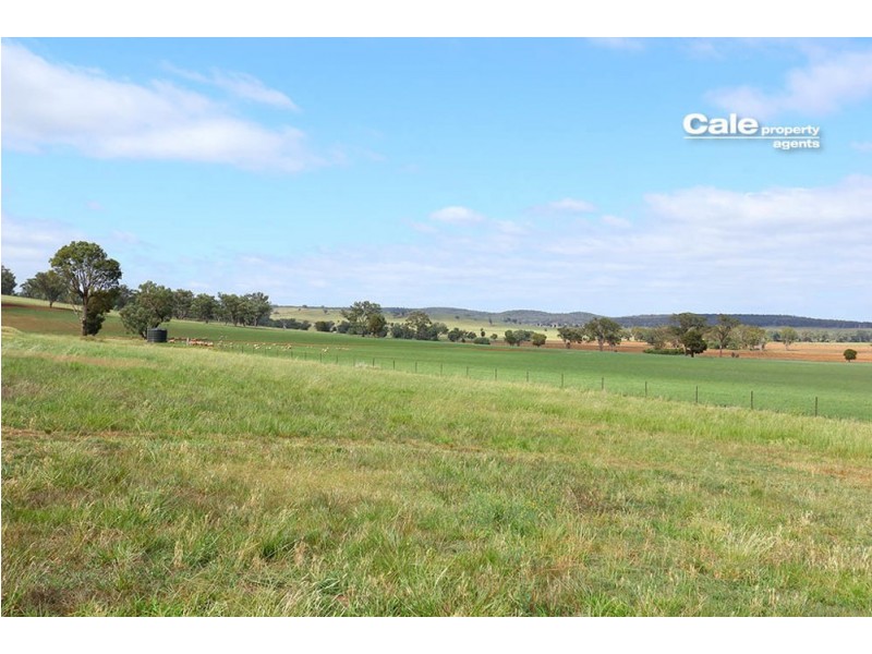 165 Laheys Creek Road, Dunedoo NSW 2844