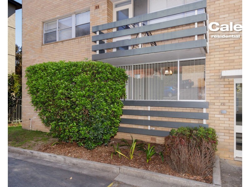 25/24-26 Meadow Crescent, Meadowbank NSW 2114