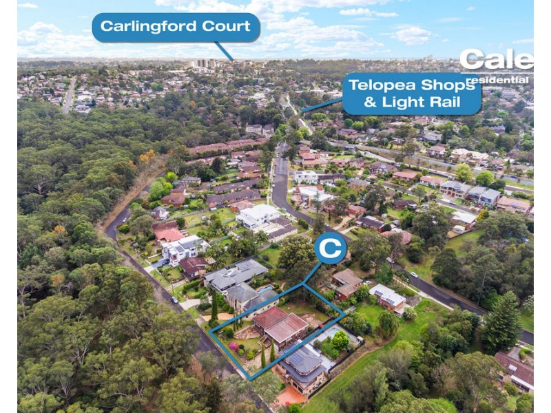 20 Rock Farm Avenue, Telopea NSW 2117