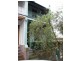 41 Nelson Street, Rozelle NSW 2039