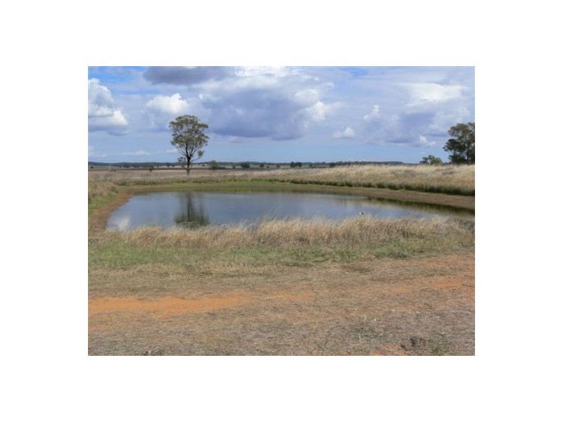 Dunedoo NSW 2844