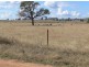 Dunedoo NSW 2844