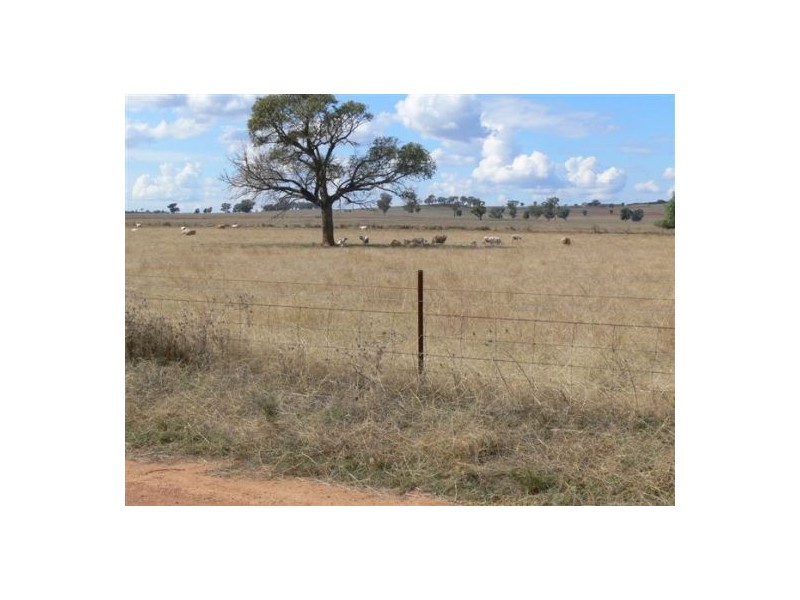Dunedoo NSW 2844