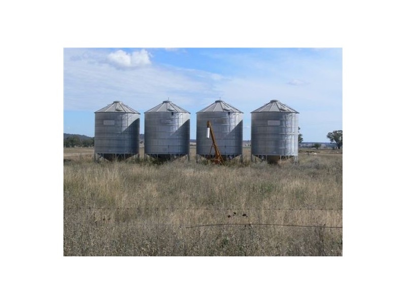 Dunedoo NSW 2844