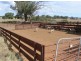 Dunedoo NSW 2844