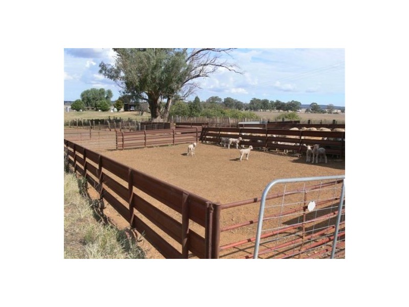 Dunedoo NSW 2844