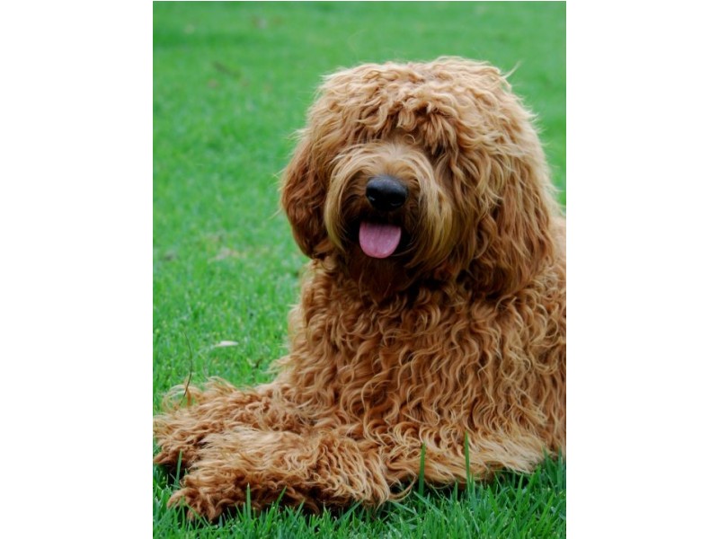 Scotts Flat NSW 2330