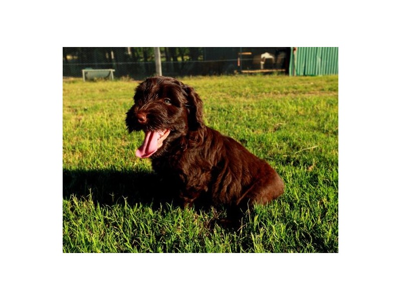 Scotts Flat NSW 2330