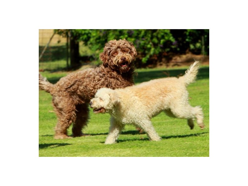 Scotts Flat NSW 2330