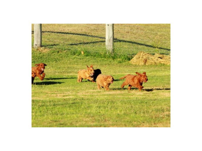 Scotts Flat NSW 2330