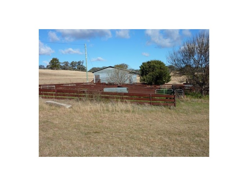 1 Laheys Creek Road, Dunedoo NSW 2844