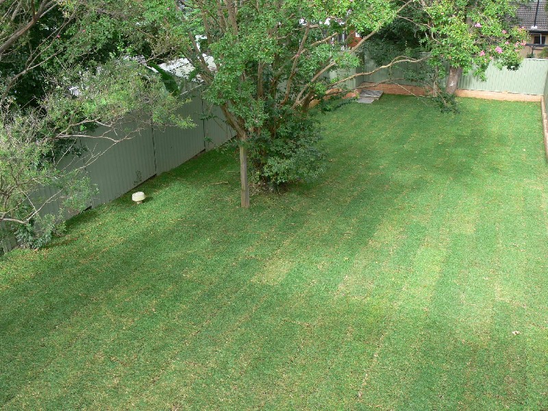 33 Ross Street, Epping NSW 2121