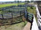 1 Laheys Creek Road, Dunedoo NSW 2844