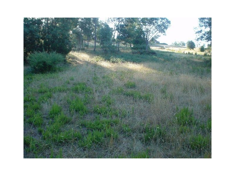 Beauty Point TAS 7270