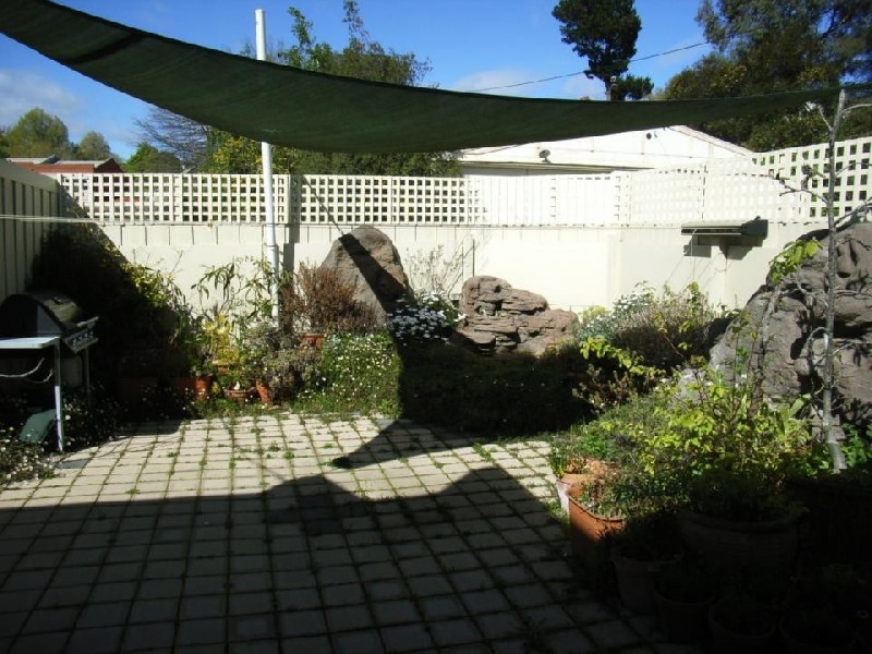 Launceston TAS 7250