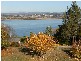35 Dilston Road, Dilston TAS 7252