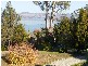 35 Dilston Road, Dilston TAS 7252