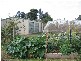 32 Franklin Street, Westbury TAS 7303