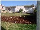 17 Andrea Place, Riverside TAS 7250