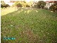 42 Main Road, Cressy TAS 7302