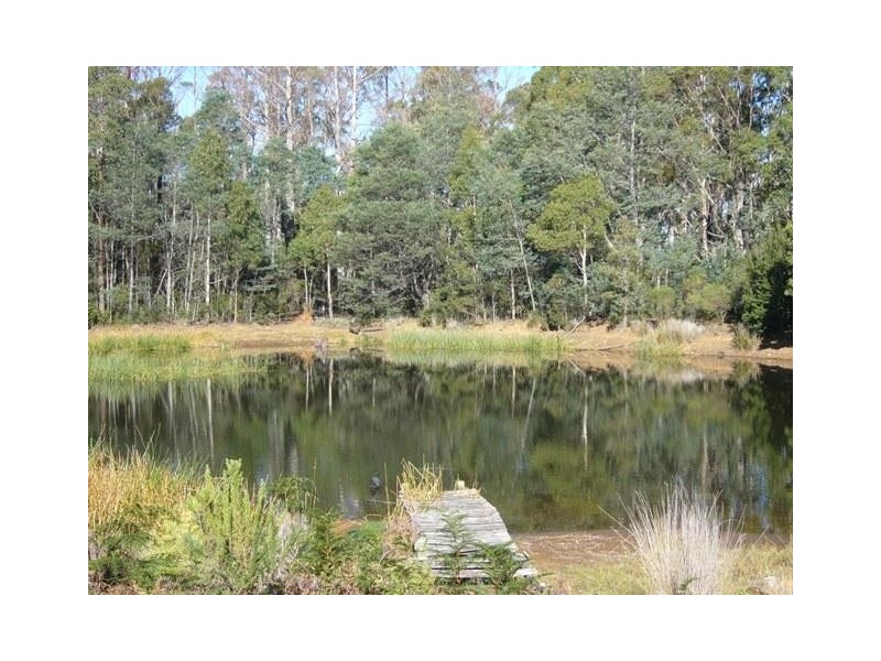 40 Bonney Street, Elizabeth Town TAS 7304