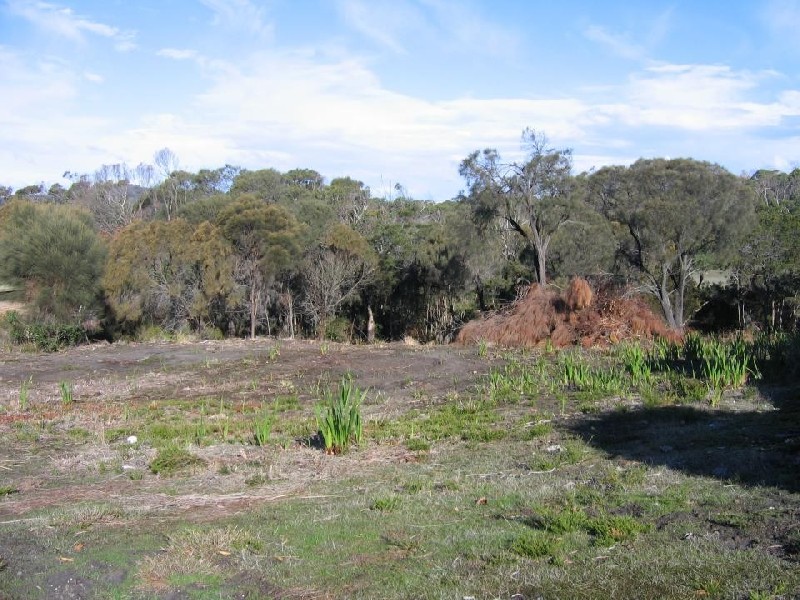 13 Ocean View Drive, Greens Beach TAS 7270