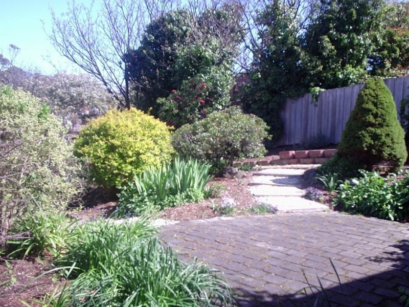 230 St John Street, Launceston TAS 7250