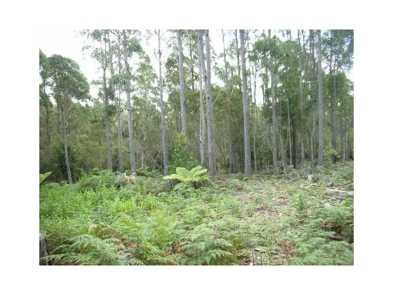 Lot 1 Pipers River Road, Pipers River TAS 7252