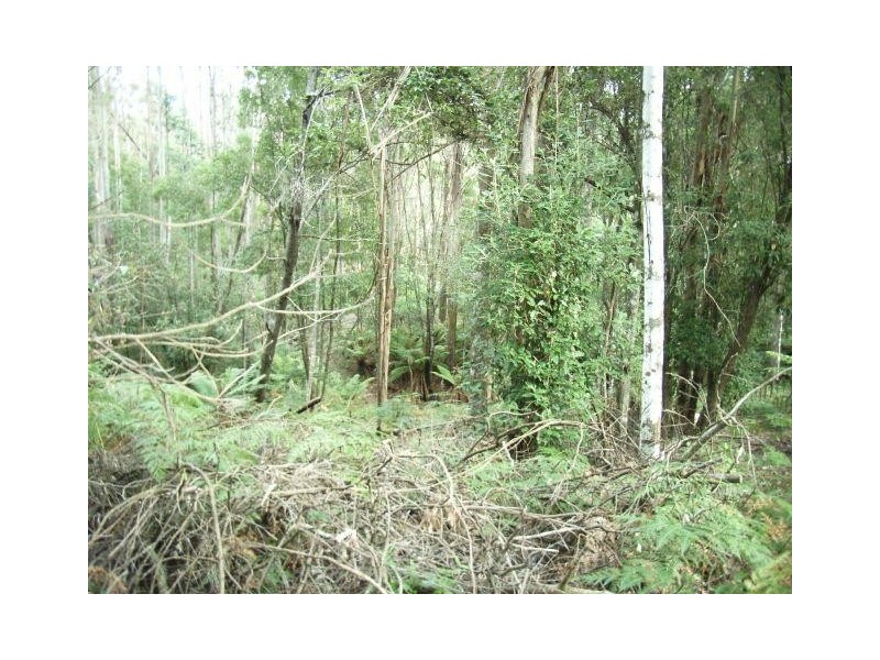 Lot 1 Pipers River Road, Pipers River TAS 7252