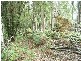 Lot 1 Pipers River Road, Pipers River TAS 7252