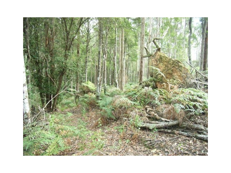 Lot 1 Pipers River Road, Pipers River TAS 7252