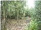 Lot 1 Pipers River Road, Pipers River TAS 7252
