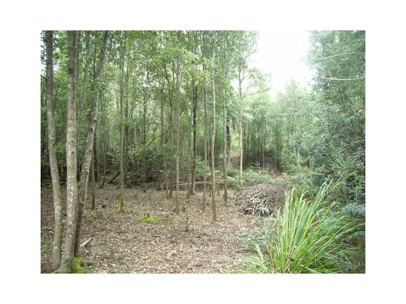 Lot 1 Pipers River Road, Pipers River TAS 7252