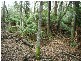Lot 1 Pipers River Road, Pipers River TAS 7252