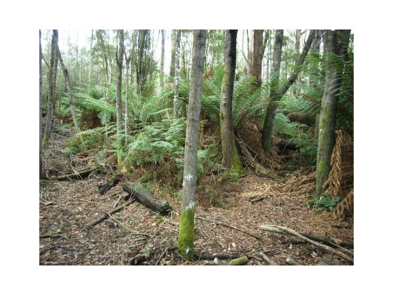 Lot 1 Pipers River Road, Pipers River TAS 7252
