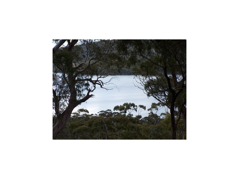 43 Little Spit Road, Lake Leake TAS 7210