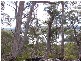 43 Little Spit Road, Lake Leake TAS 7210