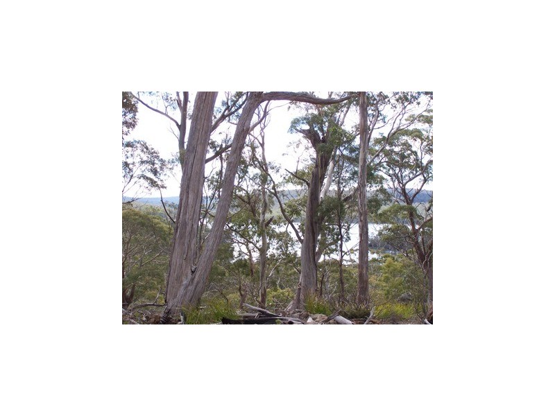 43 Little Spit Road, Lake Leake TAS 7210