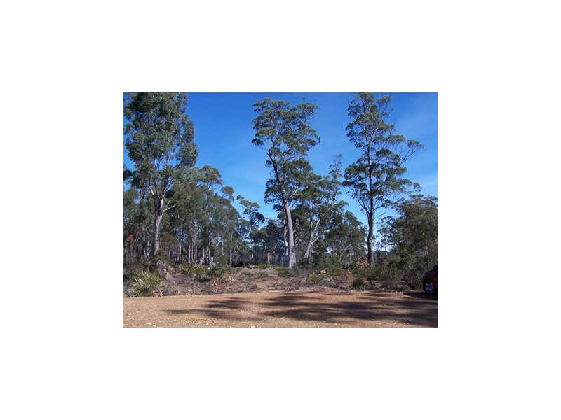 43 Little Spit Road, Lake Leake TAS 7210