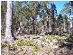 43 Little Spit Road, Lake Leake TAS 7210