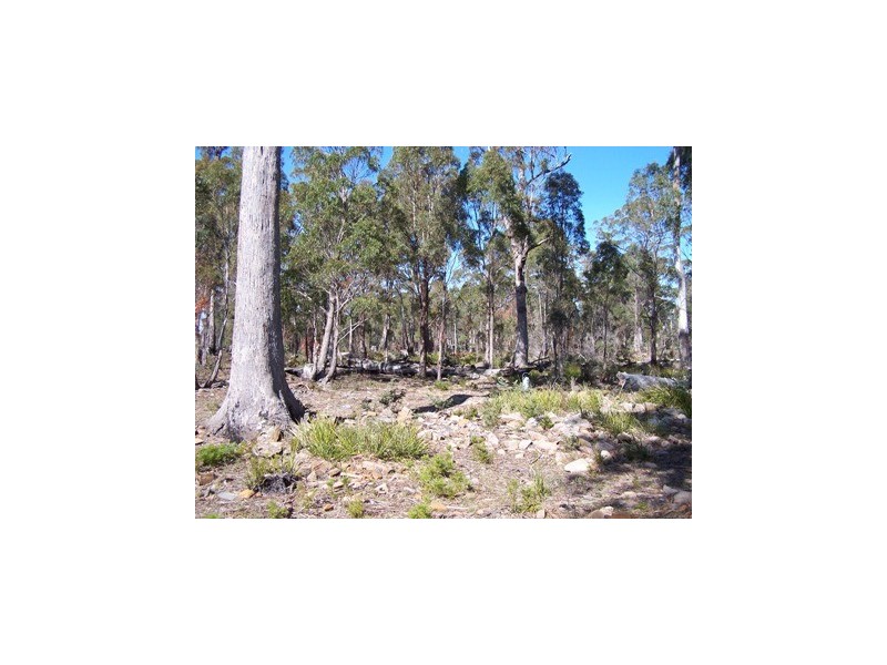 43 Little Spit Road, Lake Leake TAS 7210