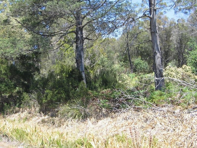 7 Hope Street, Lefroy TAS 7252