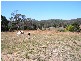 145 Johnstons Road, Hillwood TAS 7252