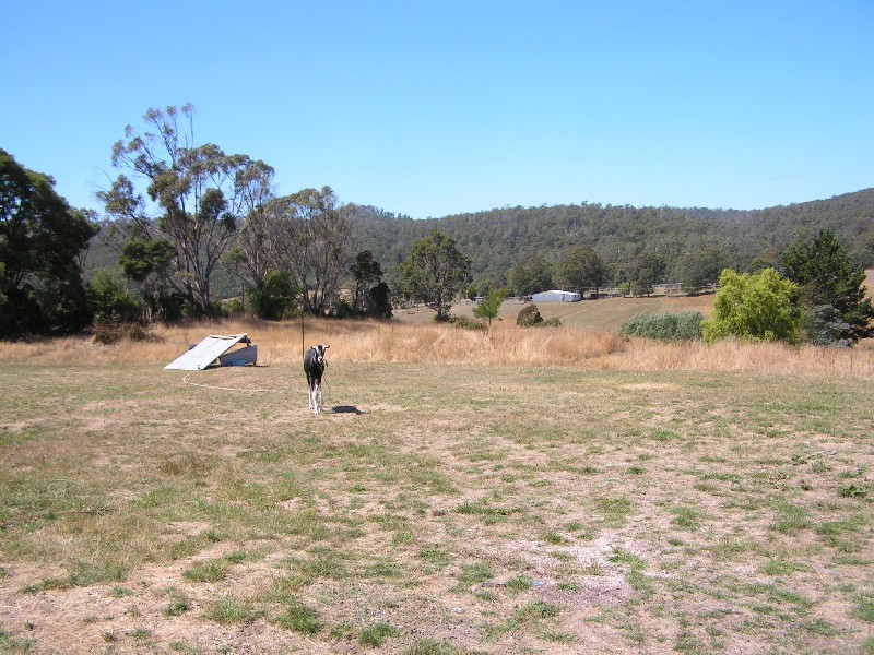 145 Johnstons Road, Hillwood TAS 7252