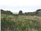 Lulworth TAS 7252