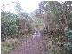 40106 Tasman Highway, Nunamara TAS 7259