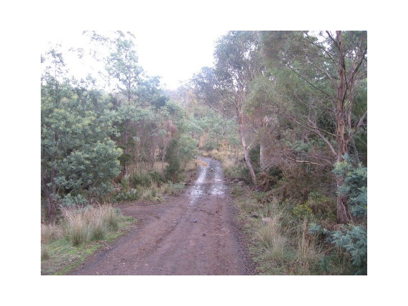 40106 Tasman Highway, Nunamara TAS 7259
